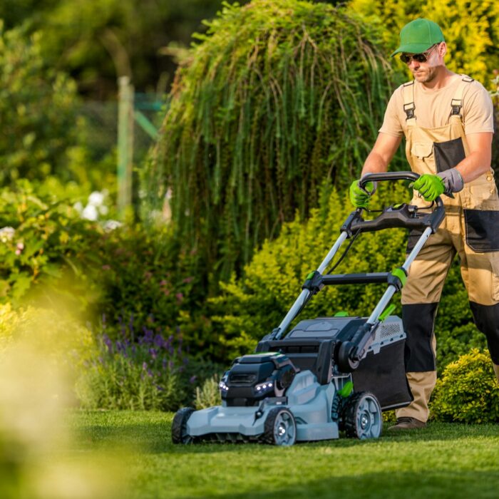 Mowing the Lawn Using Professional Equipment