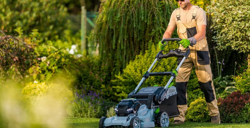 Mowing the Lawn Using Professional Equipment